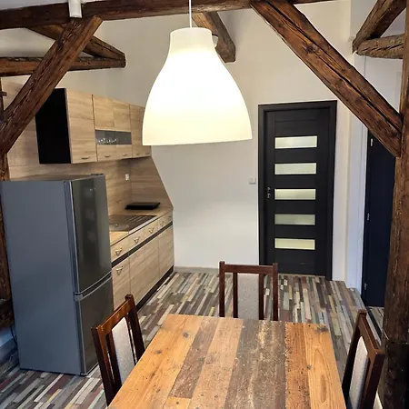 Art Maxim Фридек-Мистек