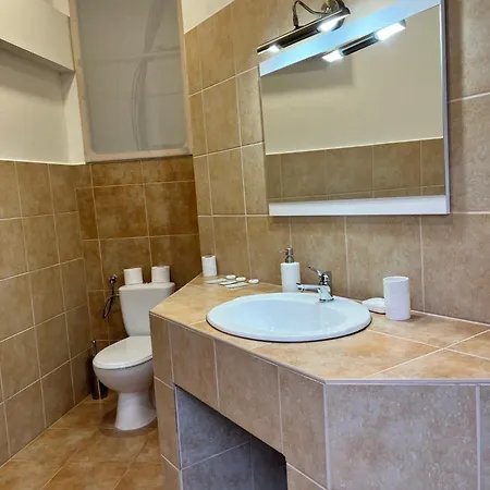 Art Maxim Фридек-Мистек