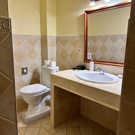 Art Maxim Aparthotel Frýdek-Místek