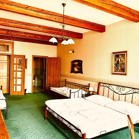 Art Maxim Фридек-Мистек