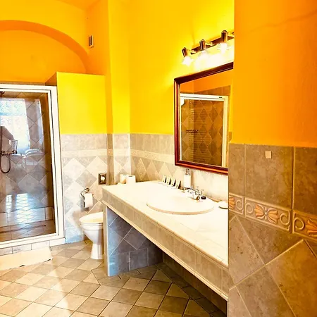 Art Maxim Фридек-Мистек