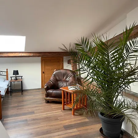 Art Maxim Фридек-Мистек