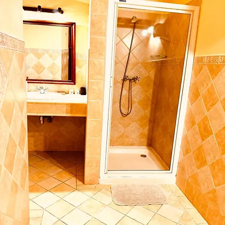 Art Maxim 3* Фридек-Мистек