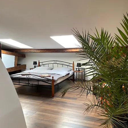 Art Maxim Фридек-Мистек