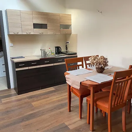 Art Maxim Aparthotel Frýdek-Místek