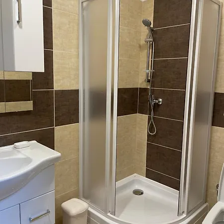 Art Maxim Фридек-Мистек