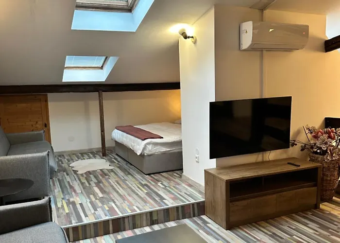 Aparthotel Art Maxim Frýdek-Místek