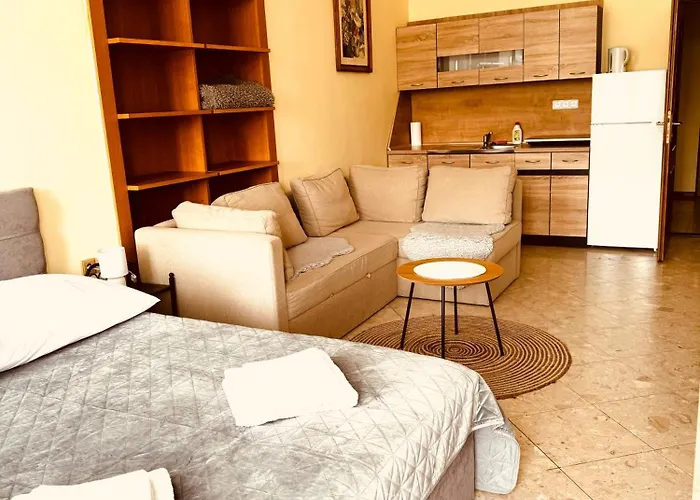 Art Maxim Lejlighedshotel Frýdek-Místek
