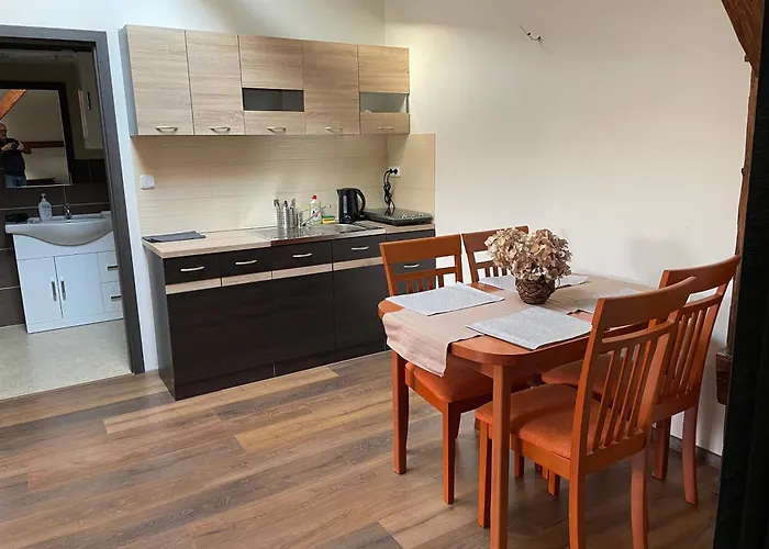 Art Maxim Aparthotel Frýdek-Místek