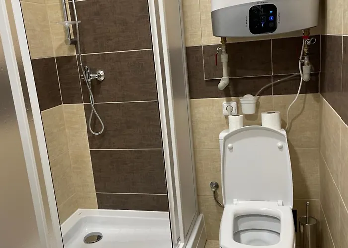 Art Maxim Aparthotel Frýdek-Místek